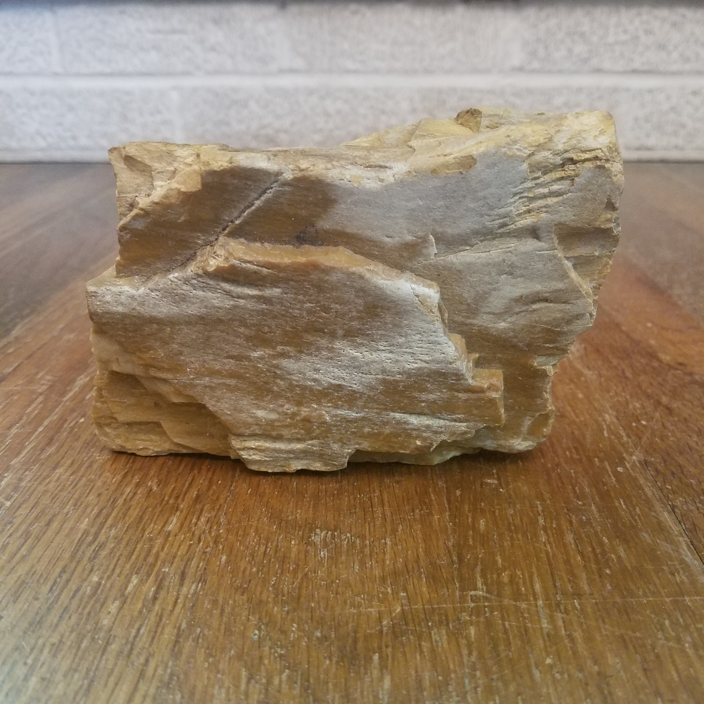Petrified Wood Display Specimen Mitchell County Nc. 1lb 12oz.